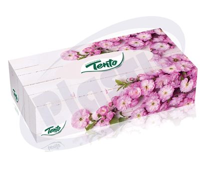 Снимка на Кърпи за лице ТЕНТО, 2 пл., 70 бр., 40 к./кашон